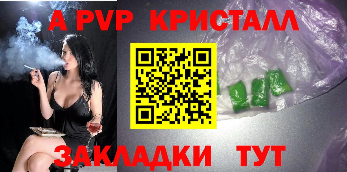 APVP СК Кингисепп