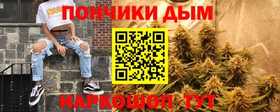 шишки Бийск